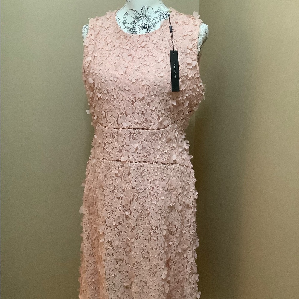 Beautiful Pink Tahari Dress